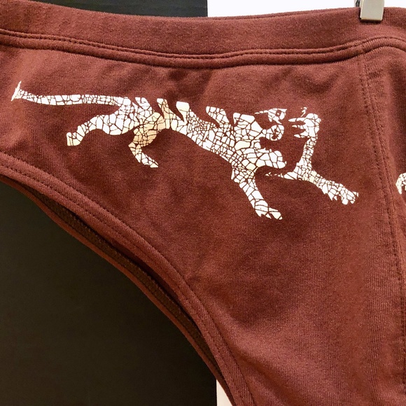 Men's Diesel Swimwear Brown Swimsuit Swim Brief Medium - Picture 6 of 9